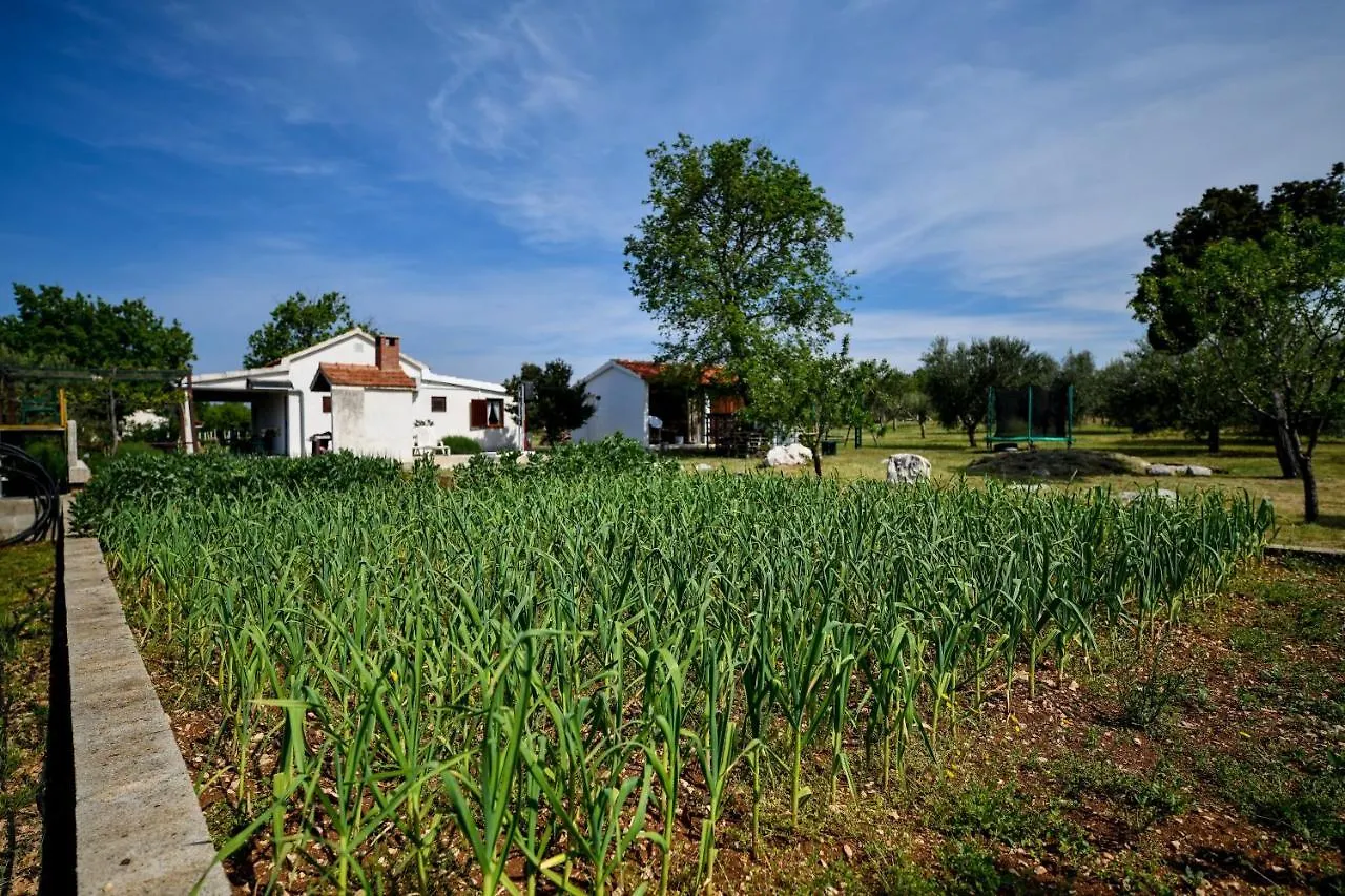 Holiday home Country House Oasis With Private Tennis Court Sveti Filip i Jakov Croatia